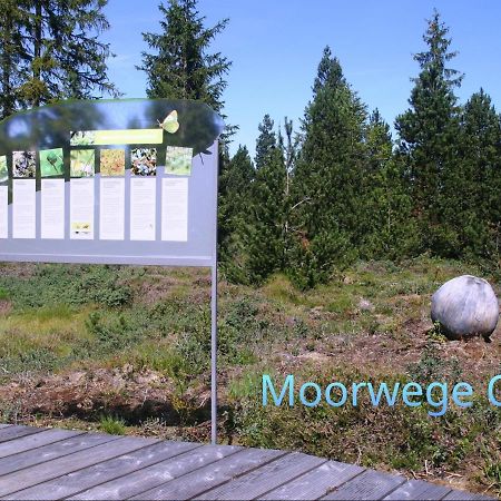 Ferienwohnung Schoene Auszeit ออย มิทเทลเบิร์ก ภายนอก รูปภาพ